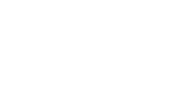 The Faction